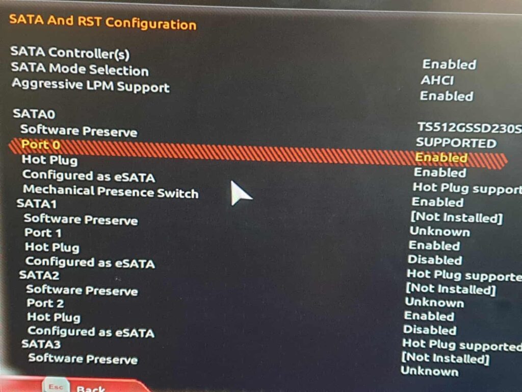 Updating The Bios